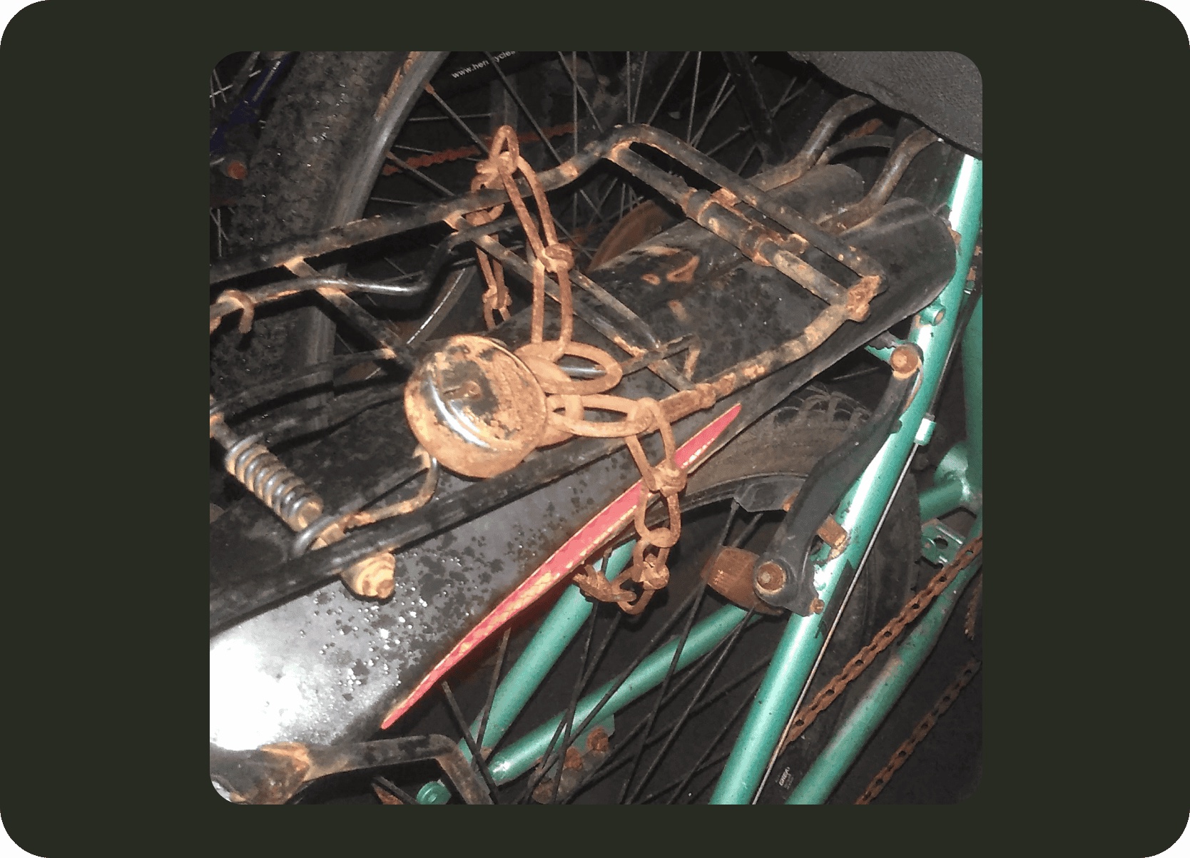Damaged cable lock observed during field study